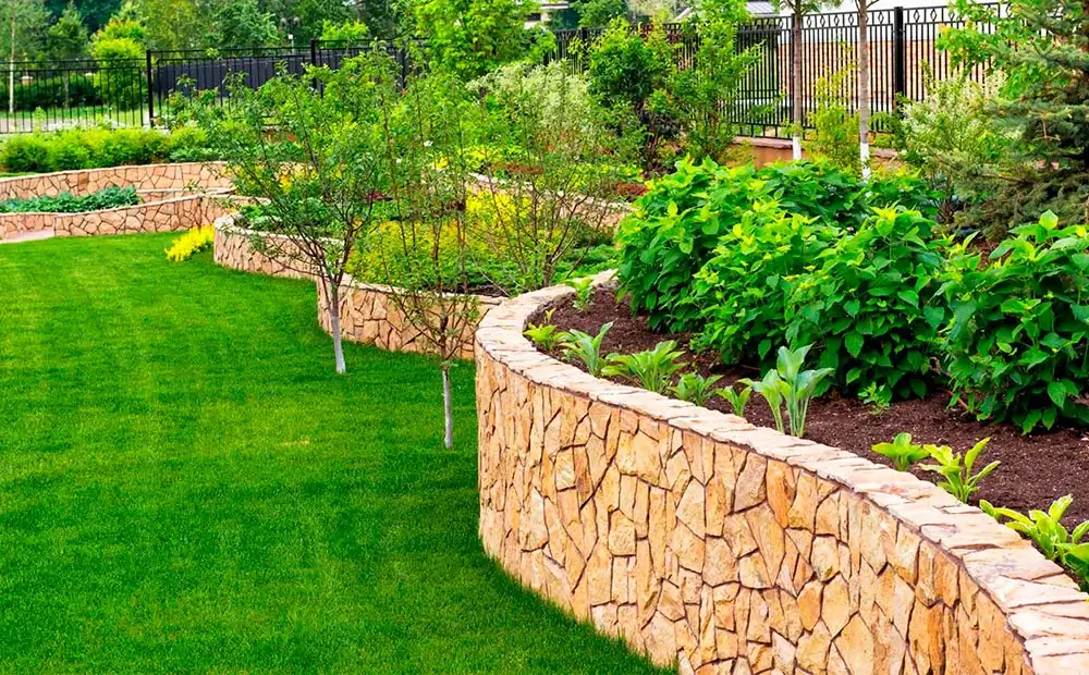 Озеленение участка - фото