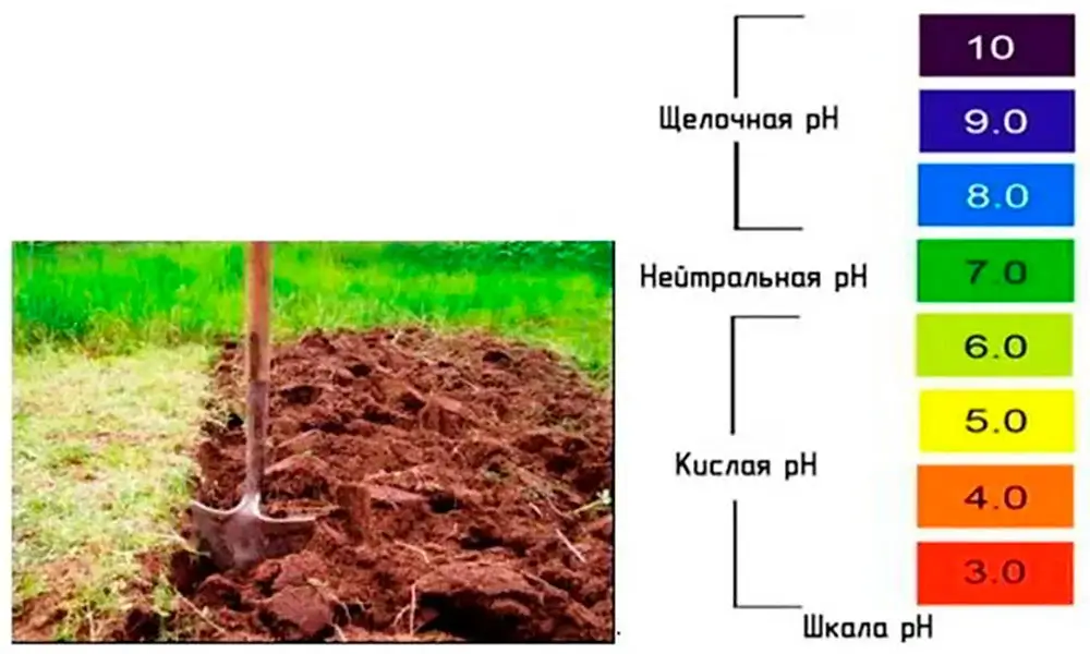Тип почвы участка при планировании